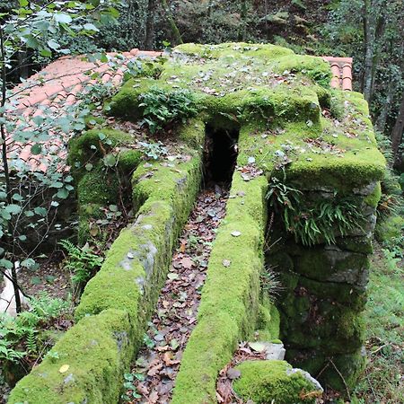 O Pineiro Casa Solveira 게스트하우스 외부 사진
